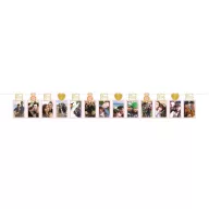 Bebe Ghirlandă foto de nuntă 365 cm