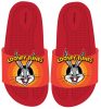 The Looney Tunes 3D copii papuci 25-32