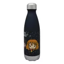 Harry Potter Hogwarts sticlă de plastic cu capac cu filet 650 ml