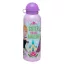 Disney Regatul de gheață Amazing Sister sticlă de aluminiu cu capac de băut 500 ml