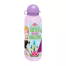 Disney Regatul de gheață Amazing Sister sticlă de aluminiu cu capac de băut 500 ml