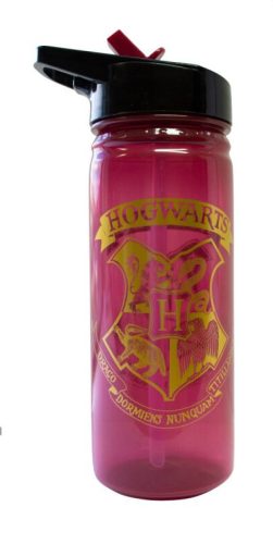 Harry Potter sticlă apă, sticlă sport 600 ml