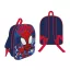 Omul Păianjen Spidey Web Rucsac 3D Out, geantă 30 cm