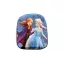 Disney Regatul de gheață Enchanted Sisters Rucsac 3D, geantă de 30 cm