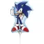 Patrula Cățelușilor Larrikin Balon mini din folie Sonic ariciul 35 cm (WP)