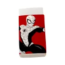 Omul Păianjen World of Webs set de articole de birou 5 buc