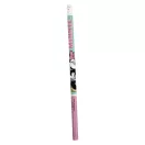 Disney Minnie Joy set de papetărie 5 piese