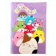 Squishmallows Feelin' Caiet B/5 40 de pagini cu linii