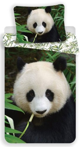 Panda Forest Lenjerie de pat 140x200 cm, 70x90 cm