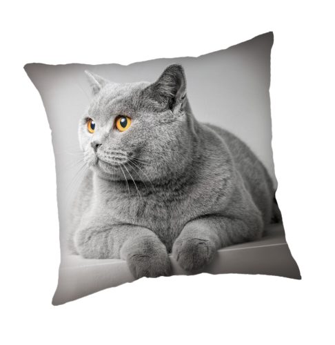 Pisică Grey față de pernă 45x45 cm