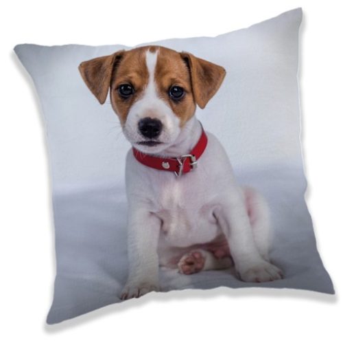 Câine pernă decorativă 40*40 cm