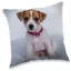 Câine pernă decorativă 40*40 cm