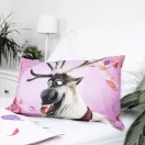 Disney Regatul de gheață Wind așternut de pat pentru copii 100×135 cm, 40×60 cm