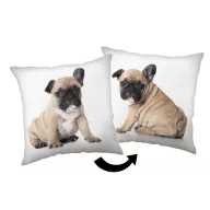 Câine Bulldog pernă decorativă 40x40 cm
