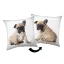 Câine Bulldog pernă decorativă 40x40 cm
