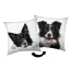 Câine Border Collie pernă decorativă 40x40 cm