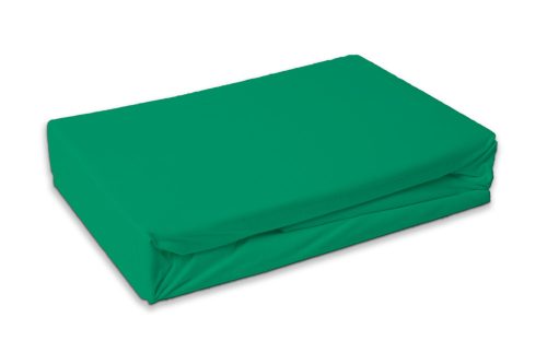 Verde Menthol terry cearșaf cu elastic 90x200 cm