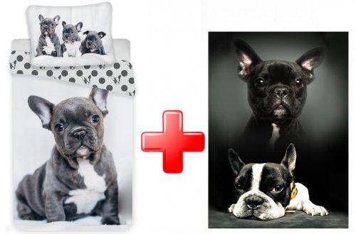 Câine French Bulldogs Lenjerie de pat și pătură polară set