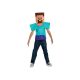 Minecraft Steve Essential costum 7-8 ani