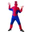 Halloween Saver Costum Spider hero 120/130 cm