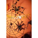 Halloween Black Decorațiune păianjen uriaș 60 cm