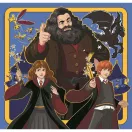 Harry Potter Chronicles Puzzle Clementoni 3x48 piese Clasa II