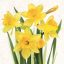 Floare Bunch Șervețele cu Narcise 20 buc 33x33 cm