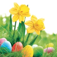 Paște Daffodils set de șervețele 20 buc 33x33 cm