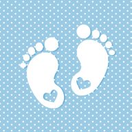   Bebe Little Feet Blue Set de Șervețele pentru Botez 20 bucăți, 33x33 cm