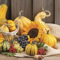 Floare Fruits Șervețel toamnă 20 buc 33x33 cm