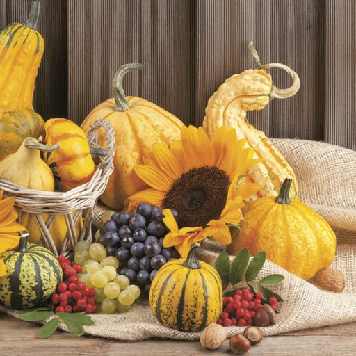 Floare Fruits Șervețel toamnă 20 buc 33x33 cm