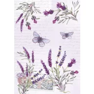 Colorat Butterfly Mapa A/4 cu elastic Levănțică