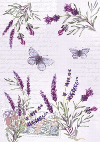 Colorat Butterfly Mapa A/4 cu elastic Levănțică