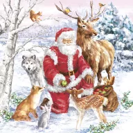 Crăciun Santa & Animals șervețele, pachet de 20, 33x33 cm