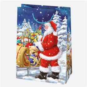 Crăciun Toyland sac cadou de hârtie 23x32x11 cm