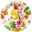 Colorat Mix Farfurii de hârtie Tropical 8 buc 18 cm