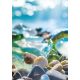 Colorat Sea Glass Plic elastic A/4 Natură