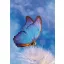 Fluture Butterfly Dosar elastic A/4 pentru natură