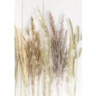 Fluture Golden Harvest Mapă A/4 cu elastic Natura