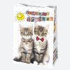 La mulți ani Friends Pungă cadou de hârtie Happy Birthday 23x32x11 cm