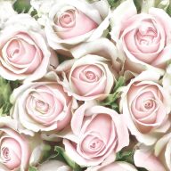   Floare Subtle Light Pink Șervețel trandafiri 20 buc. 33x33 cm