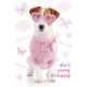 Câine Pink World Dosar A/4 cu elastic