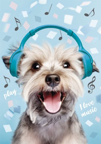 Câine Play Music Mapă A/4 cu elastic