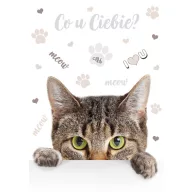 Pisică Meow Dosar A/4 cu elastic