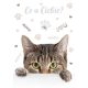 Pisică Meow Dosar A/4 cu elastic