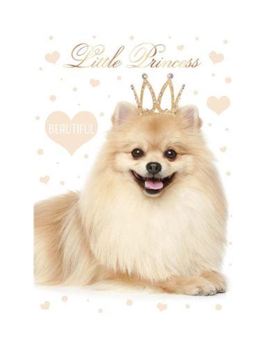 Câine Little Princess Mapă elastică A4