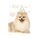 Câine Little Princess Mapă elastică A4
