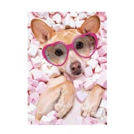 Câine Marshmallow Dosar cu elastic A/4