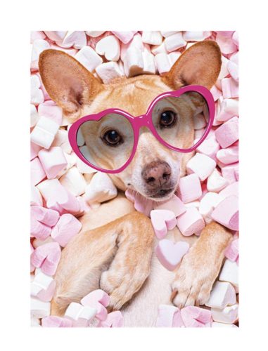 Câine Marshmallow Dosar cu elastic A/4