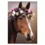 Cal Wreath Mapa A/4 cu elastic